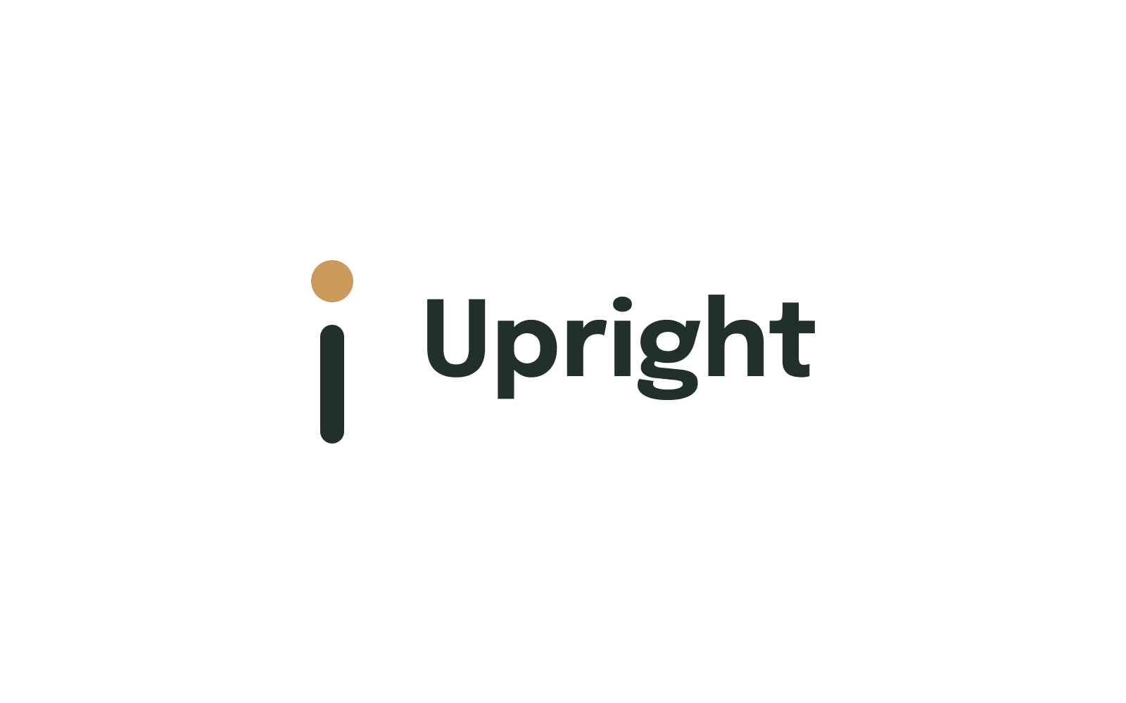 Brand Identity Design case 09 &mdash; Upright